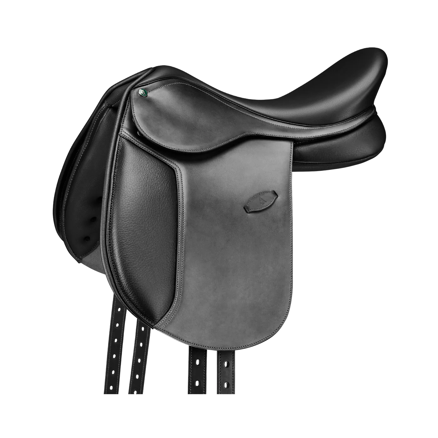 Arena Pony Dressage